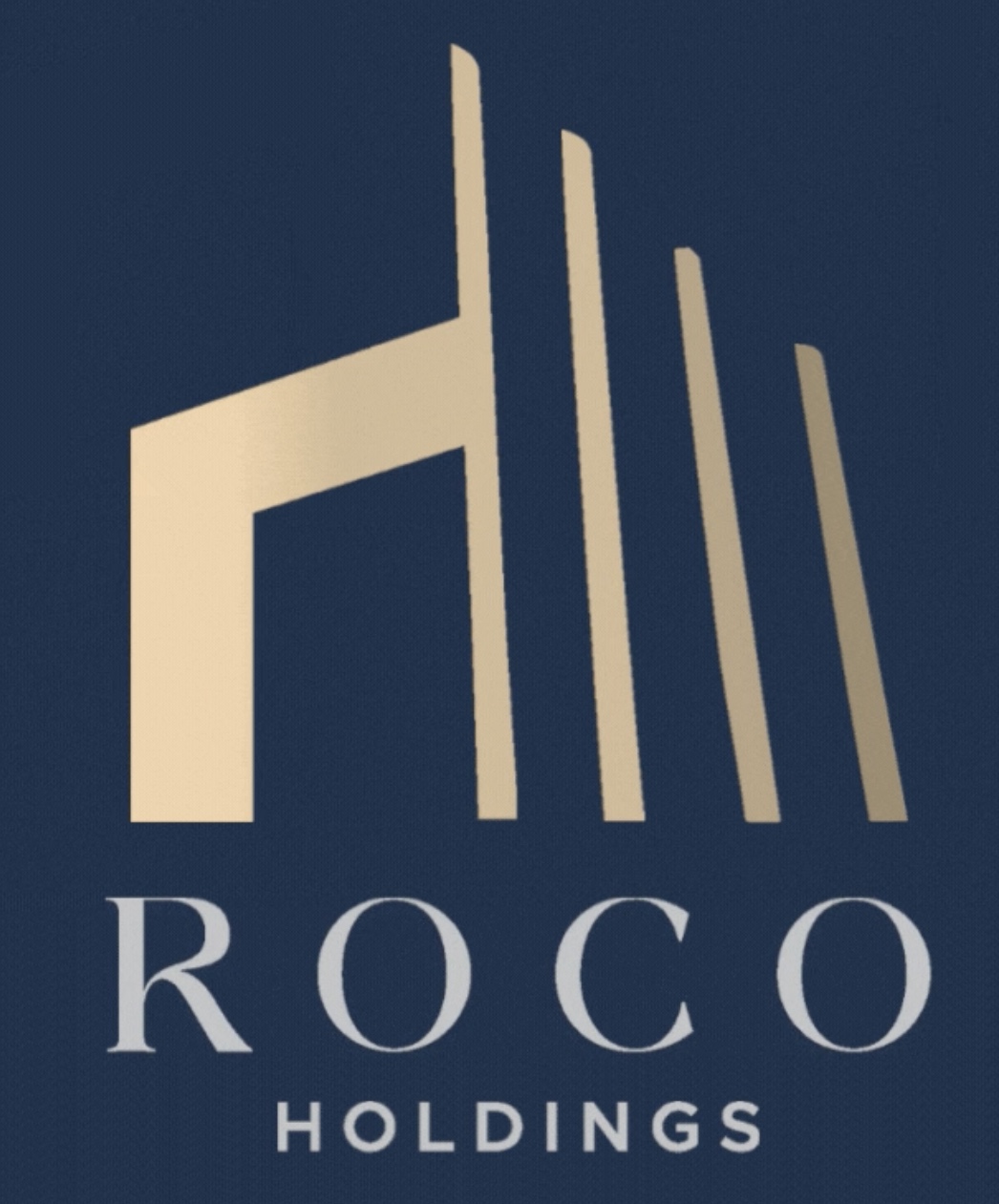 RoCo Holdings company logo featuring elegant typography and professional branding